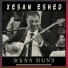 Xesan Eshed