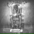 Giovani