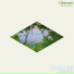clear eyes, Rexx Life Raj