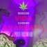 Deezin feat. CHZHIN