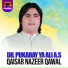 Qaisar Nazeer Qawal