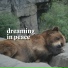 Sleeping Baby