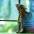 Asmita Sharda Meditation Hub