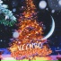 Veembo
