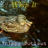 Trippy Outlaws