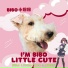 BIBO Little Cute