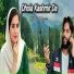 Javid Poonchi