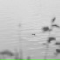 Lakeseat