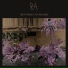 RA