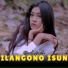 Denik Armila