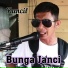 Kancil