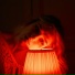 LUCE