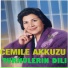 Cemile Akkuzu