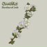 Cyanothus