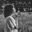 Enula
