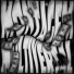 raskaz