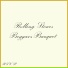 The Rolling Stones
