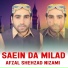 Afzal Shehzad Nizami