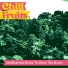 Chill Fruits