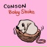 Conson