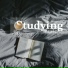 Studying Music & Best Relaxation Music
