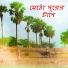 Partha Bhowmik