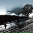 Alan Fillip