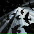 Paperman