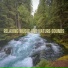 symphony orchestra sound of nature