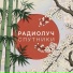 the радиолуч