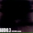 AUDIO.3