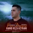 Hamidreza Keyhani