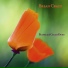 Piano and Cello Duet Brian Crain