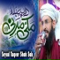 Seyad Tuqeer Shah Sab
