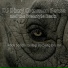 DJ Dizzy Common Sense and the Freestyle Beats