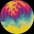 Fracktion
