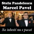 Stelu Pandelescu feat. Marcel Pavel