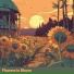 Ambient Music Collective