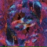 PINX, Drapula