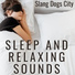 Slang Dogs City