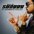 Ali G, Shaggy