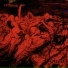 Catharsis