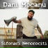 Dani Mocanu