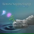 Spa Music Consort, Reiki Chakra Consort