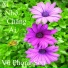 Vũ Phong Sơn
