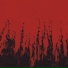 Echolom