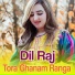 Dil Raj