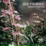 Ale Fillman