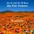 Syd Dale Double Dozen