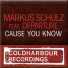 Markus Schulz Feat Departure